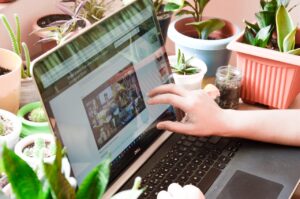 Zo vind je online snel de juiste informatie voor huis en tuin